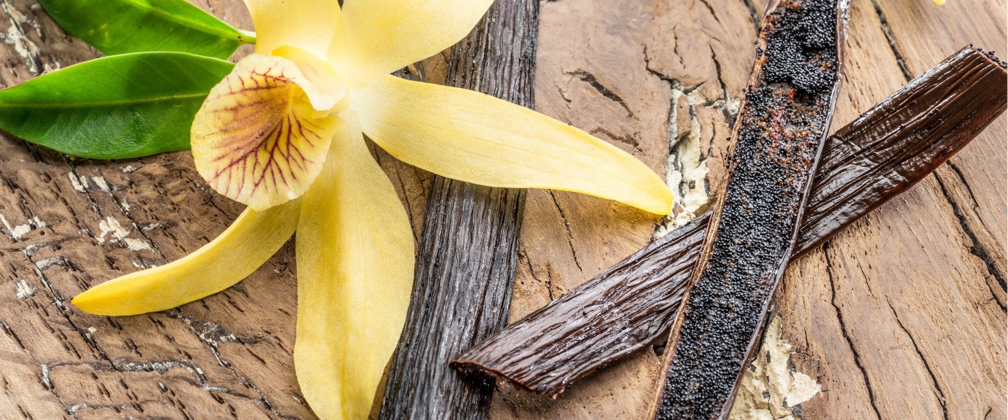 Kostbare Gewürze: Die wunderbare Vanille