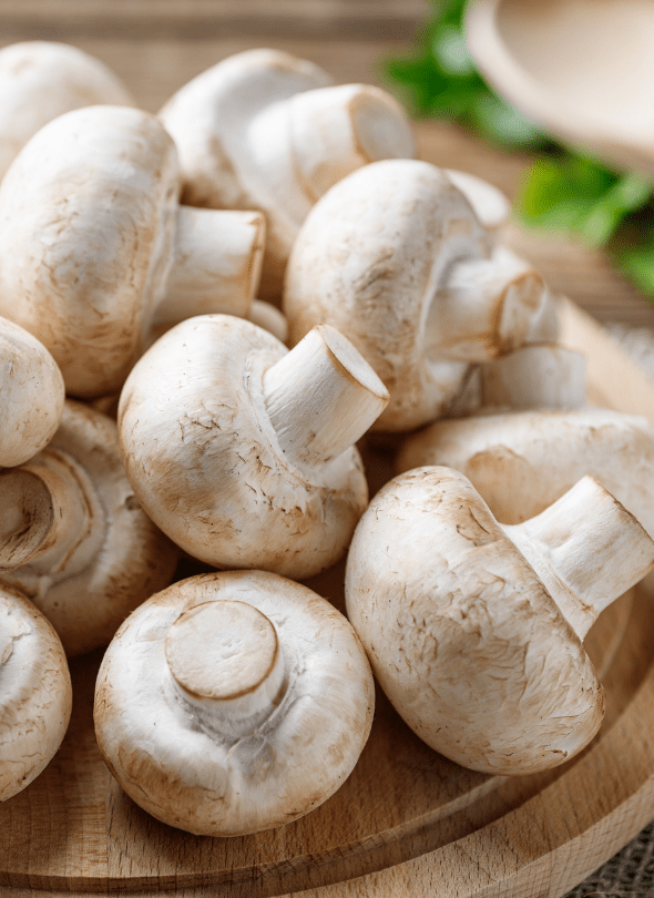 RAGOUT EXTRA FIN . Ragout fin aus Kalbfleisch