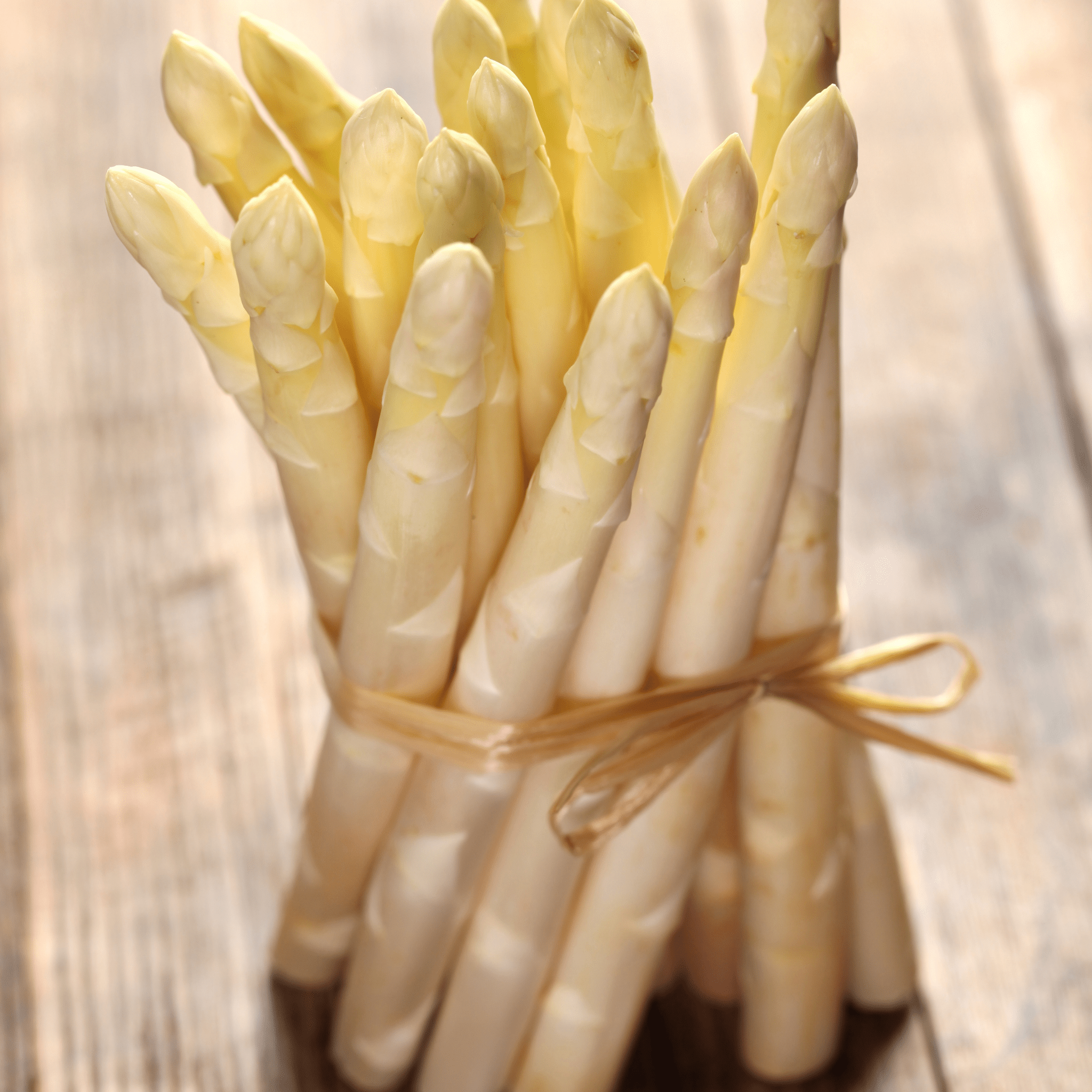 FRÜHLINGSKUSS . cremiges Süppchen von weißem Spargel