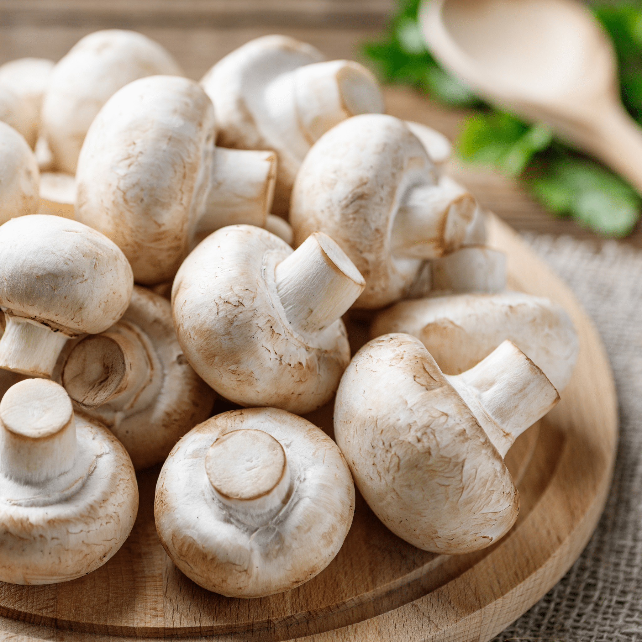 RAGOUT EXTRA FIN . Ragout fin aus Kalbfleisch